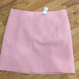 Ann Taylor loft NWT lined  skirt